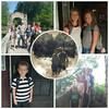 c_bartmess_02